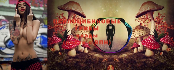 PSILOCYBIN Баксан